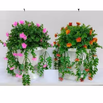 کاپی شمشاد اویز متوسط