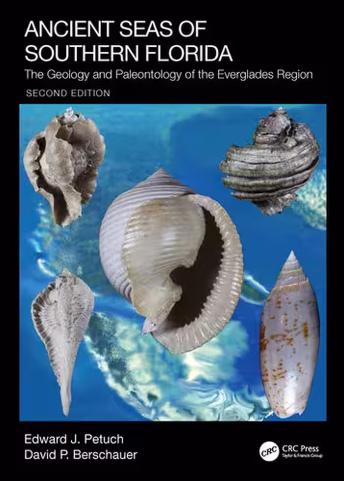خرید و دانلود نسخه کامل کتاب Ancient Seas of Southern Florida: The Geology and Paleontology of the Everglades Region