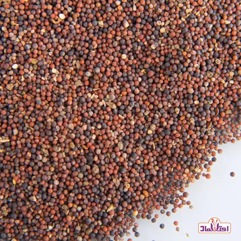 بذر شلغم50 گرمی اعتماد | amazonchi