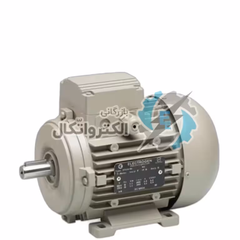 الکتروموتور 3 فاز فریم 225 چدنی 45 کیلووات (60 اسب) 1500 دور الکتروژن ا Electromotor 3-phase frame 225 cast iron 45 kW (60 hp) 1500 rpm