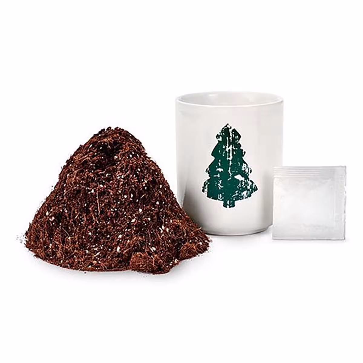 گلدان به همراه خاک و بذر کاج نروژی چیبو