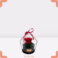 رز جاودان مهرسا کد R01
