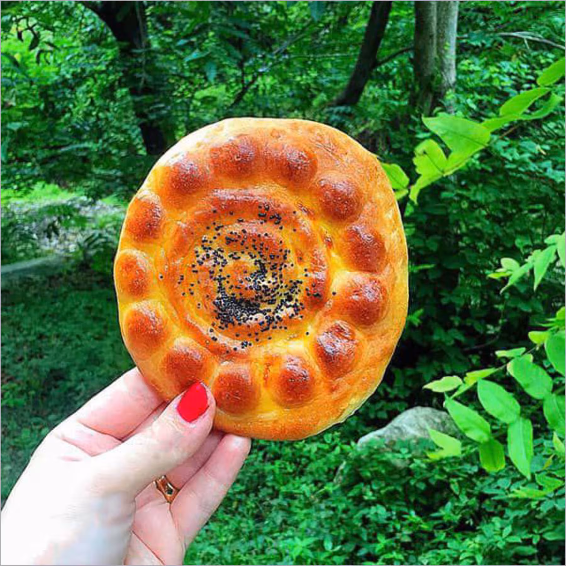 کلوچه فومن تازه و سنتی دربسته بندی 10 عددی