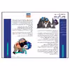 بازی فکری مدل داستان هفت خان رستم طرح خان ششم 