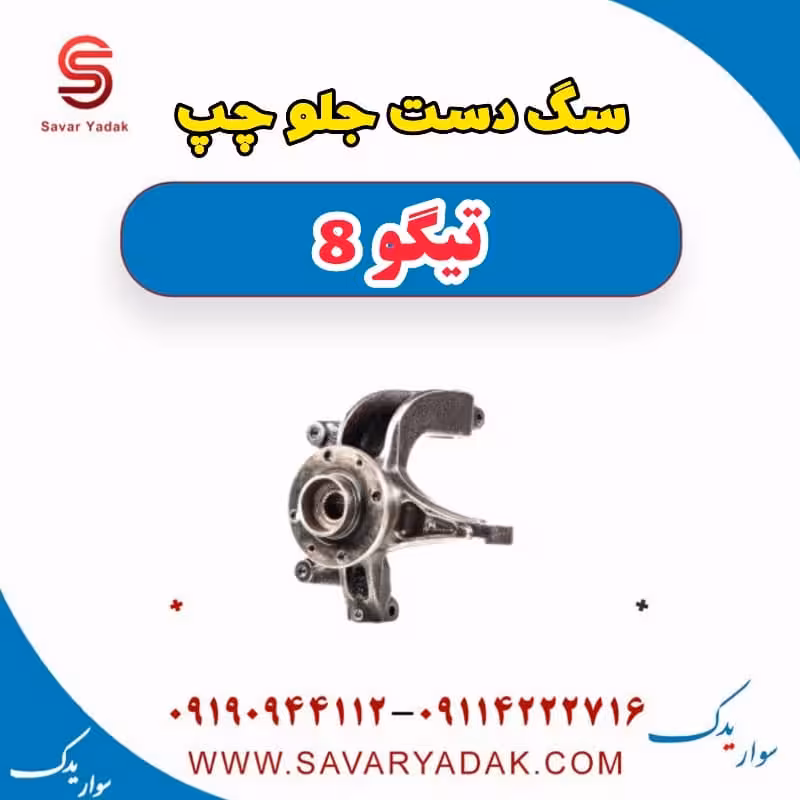 سگ دست جلو چپ تیگو 8