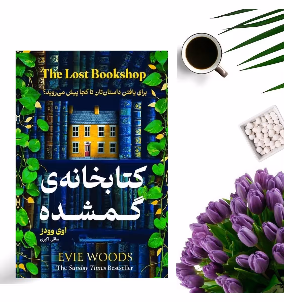 کتاب کتابخانه ی گمشده اثر اوی وودز انتشارات هرماس