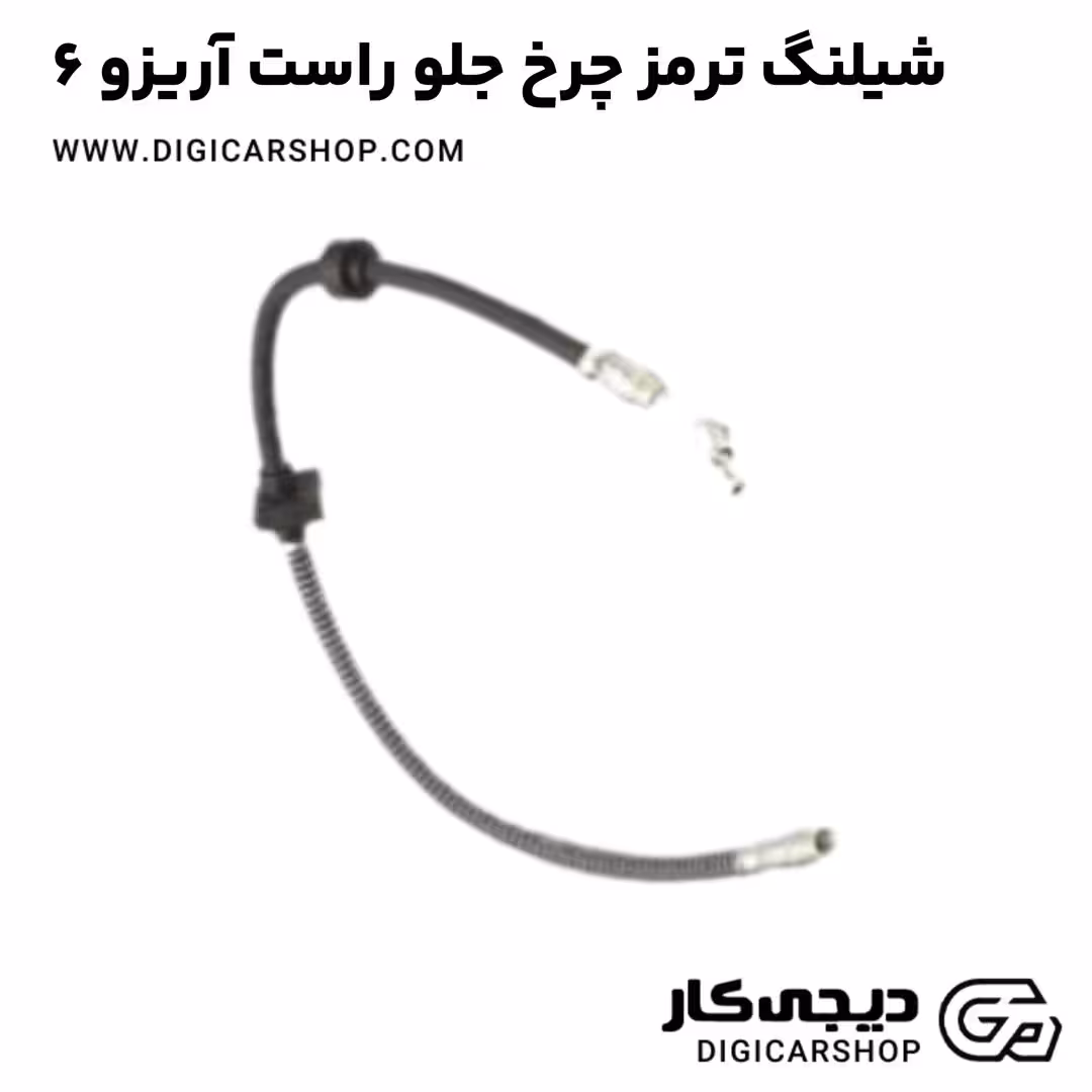شیلنگ ترمز چرخ جلو راست آریزو 6