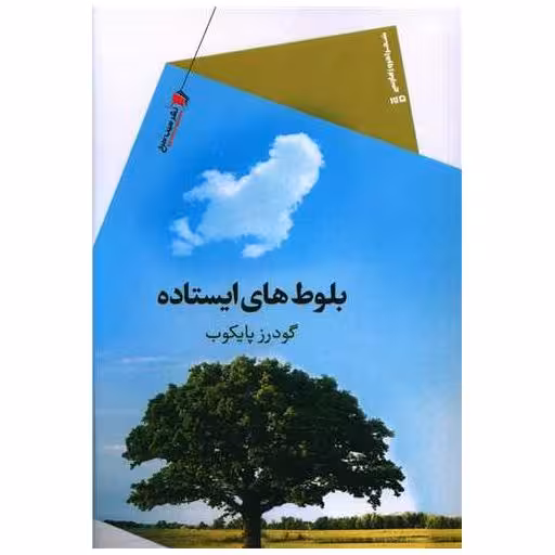 کتاب بلوط های ایستاده اثر گودرز پایکوب