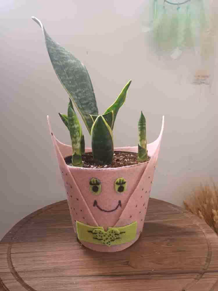 گل وگلدان فانتزی