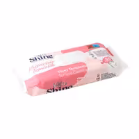 دستمال مرطوب جرمگیر همه کاره الو شاین 50 برگ alo shine temizleme mendili