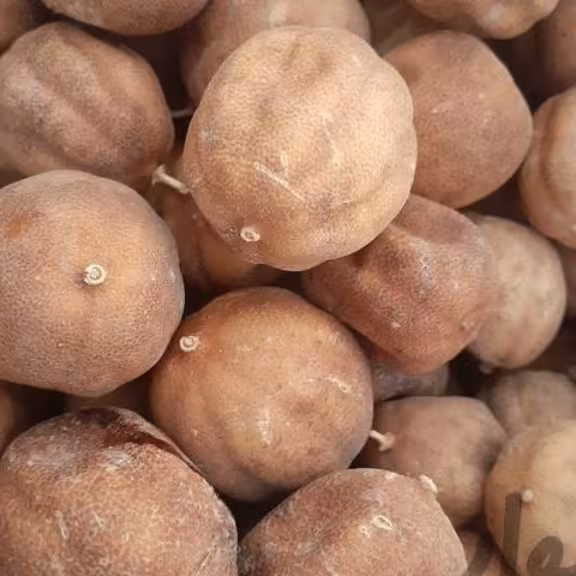 لیموخشک جنوب1کیلوگرم امسالی