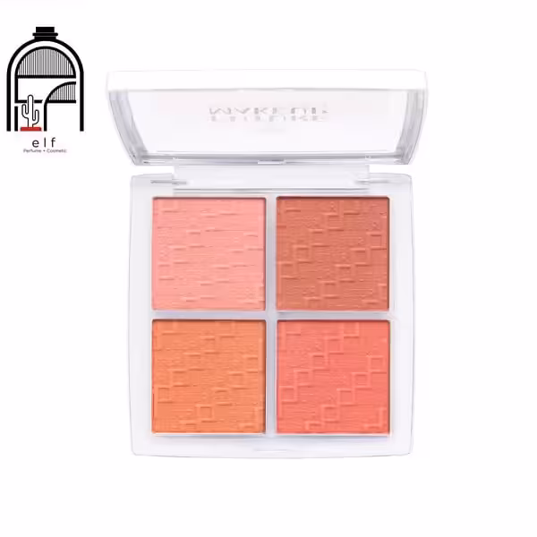 پالت رژگونه فیوچر میکاپ مدل FU3601 Future Makeup Blush Palette FU3601