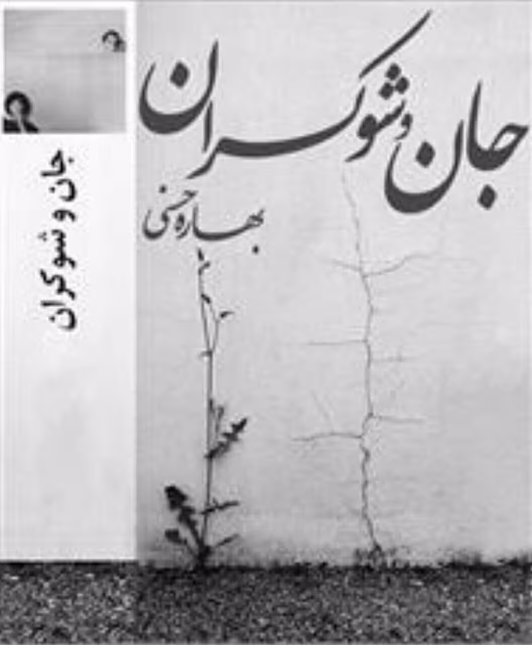رمان جان و شوکران pdf
