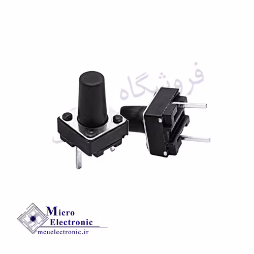 تک سوئیچ 6x6x10 2PIN