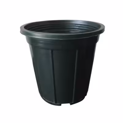 گلدان مشکی سطل 3