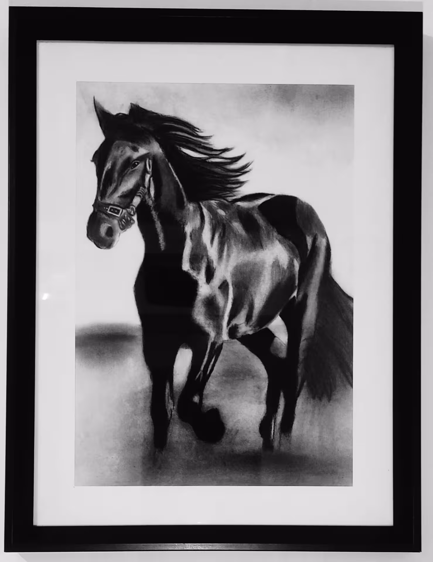 سیاه قلم اسب