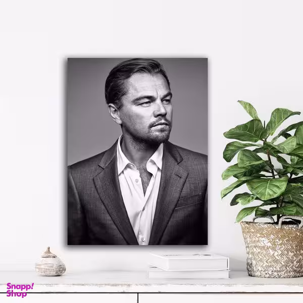 تابلو شاسی آتریسا مدل دیکاپریو