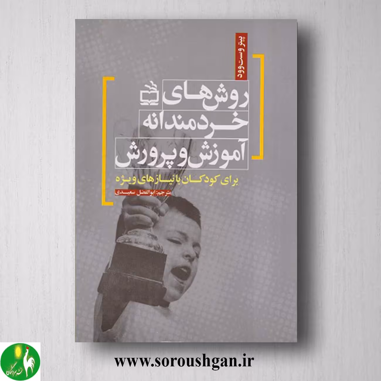 کتاب روش های خردمندانه آموزش و پرورش برای کودکان با نیازهای ویژه اثر پیتر وست وود