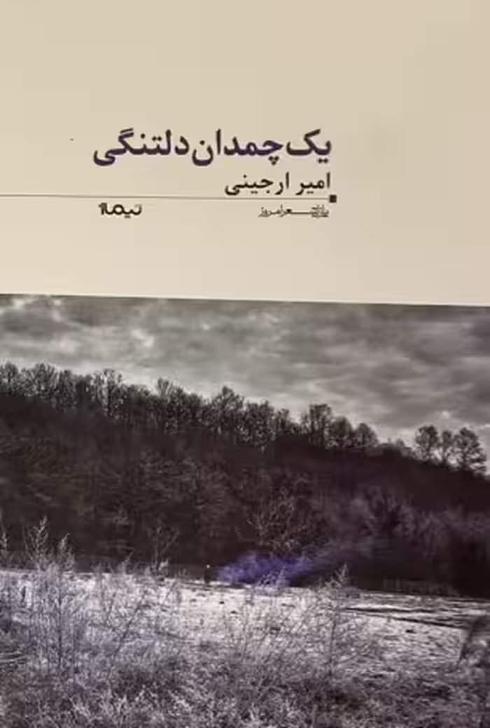 کتاب یک چمدان دلتنگی