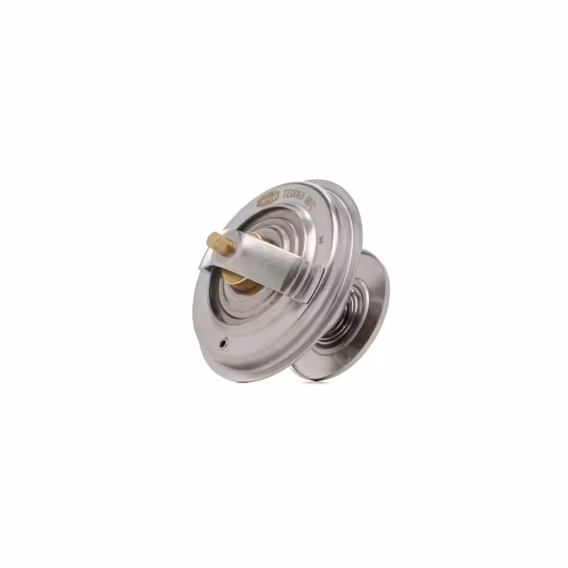 ترموستات سانگ یانگ رودیوس