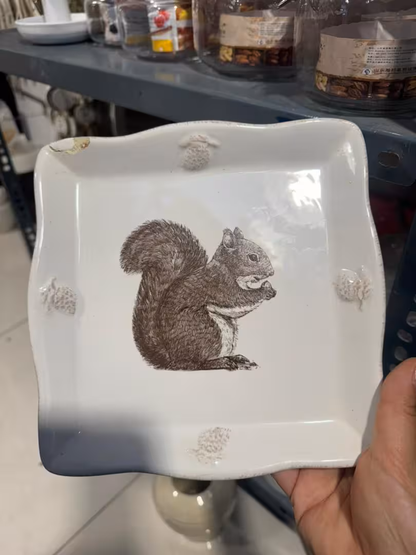 بشقاب سنجاب