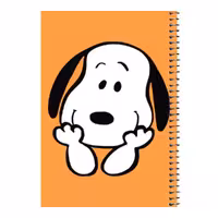 دفتر مشق 80 برگ اس جی مدل اسنوپی کد 70