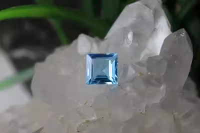 بلوتوپاز سوئیس