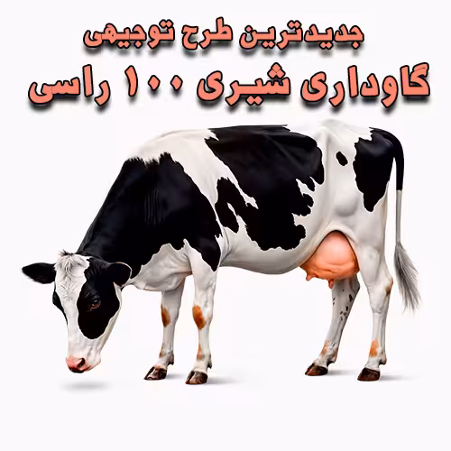 خرید و دانلود طرح توجیهی گاوداری شیری 100 راسی