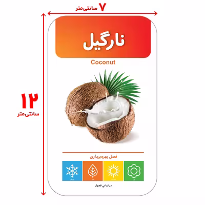 فلش کارت آشنایی با میوه‌ها و سبزیجات انتشارات اندیشه کهن