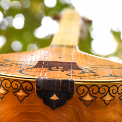 سه تار ایران ساز مدل جهان