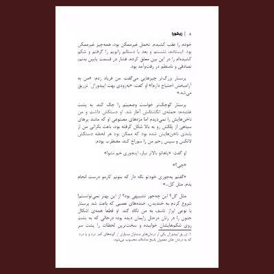 کتاب زیکورا اثر چیماماندا انگوزی آدیشی نشر سیزده
