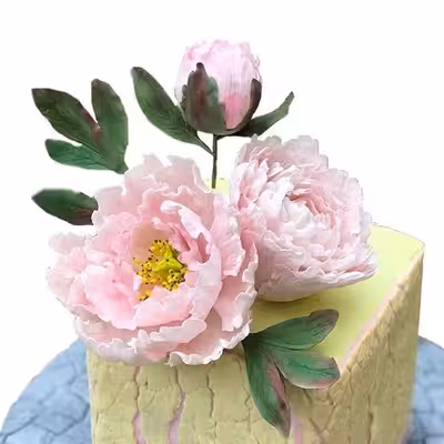 قالب به گز مدل  برگ گل پیونی مجموعه 4 عددی