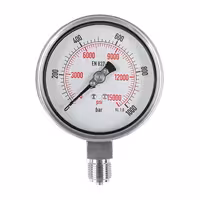 گیج فشار صفحه 10 سانت خشک 1000 بار