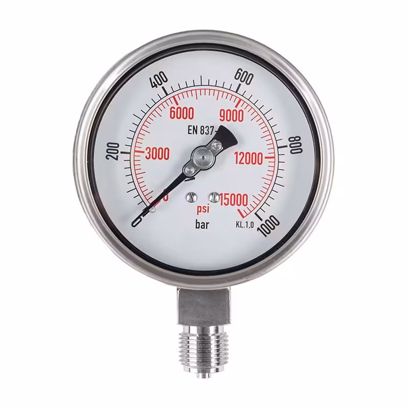 گیج فشار صفحه 10 سانت خشک 1000 بار