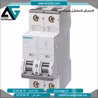 کلید مینیاتوری تایپ C مدل 5SY7202-7 زیمنس
