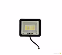 پروژکتور LED اس ام دی 30 وات پرتو