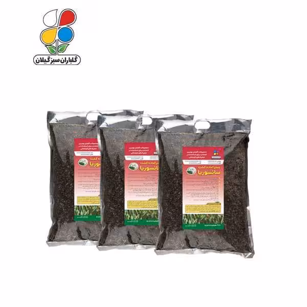 بستر آماده کشت سانسوریا 2 کیلوگرمی بسته سه عددی