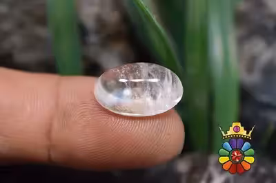 در نجف اصلی