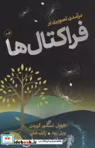 خرید کتاب درآمدی تصویری بر فراکتال ها شمیز،رقعی،ثالث | ایده بوک