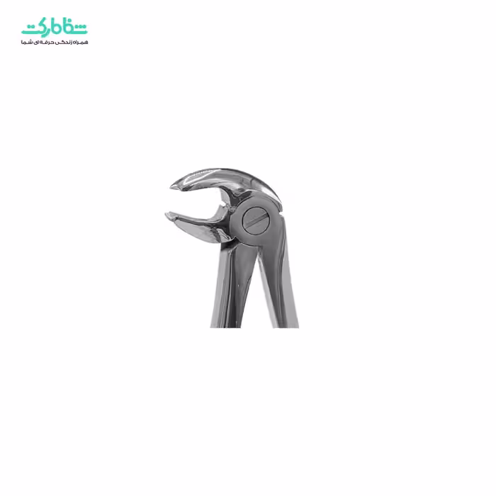 فورسپس مولر پایین 3008