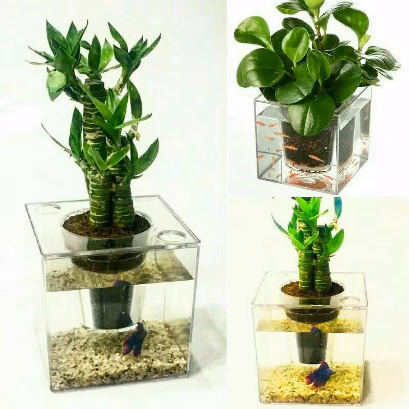 گلدان آکواریومی
سایز مکعب 15*15*15
رنگ شیشه ای