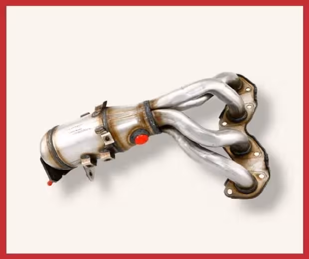 منیفولد دود چانگان eado