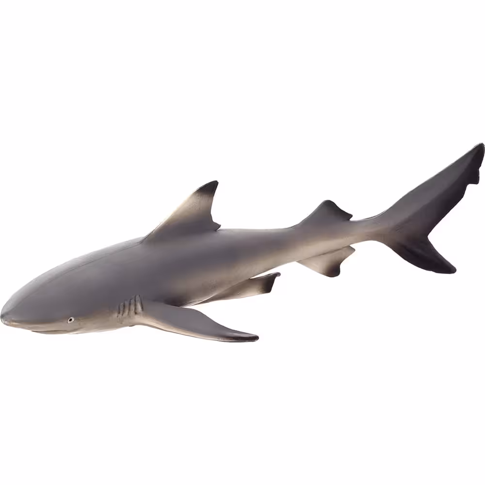فیگور کوسه باله سیاه MOJO Black Tip Reef Shark 387357