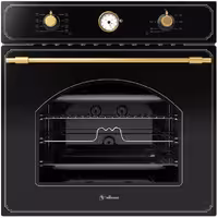 فر برقی 655 داتیس (کلاسیک)