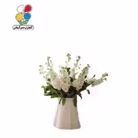بذر گل شب بو بسته 3 عددی
