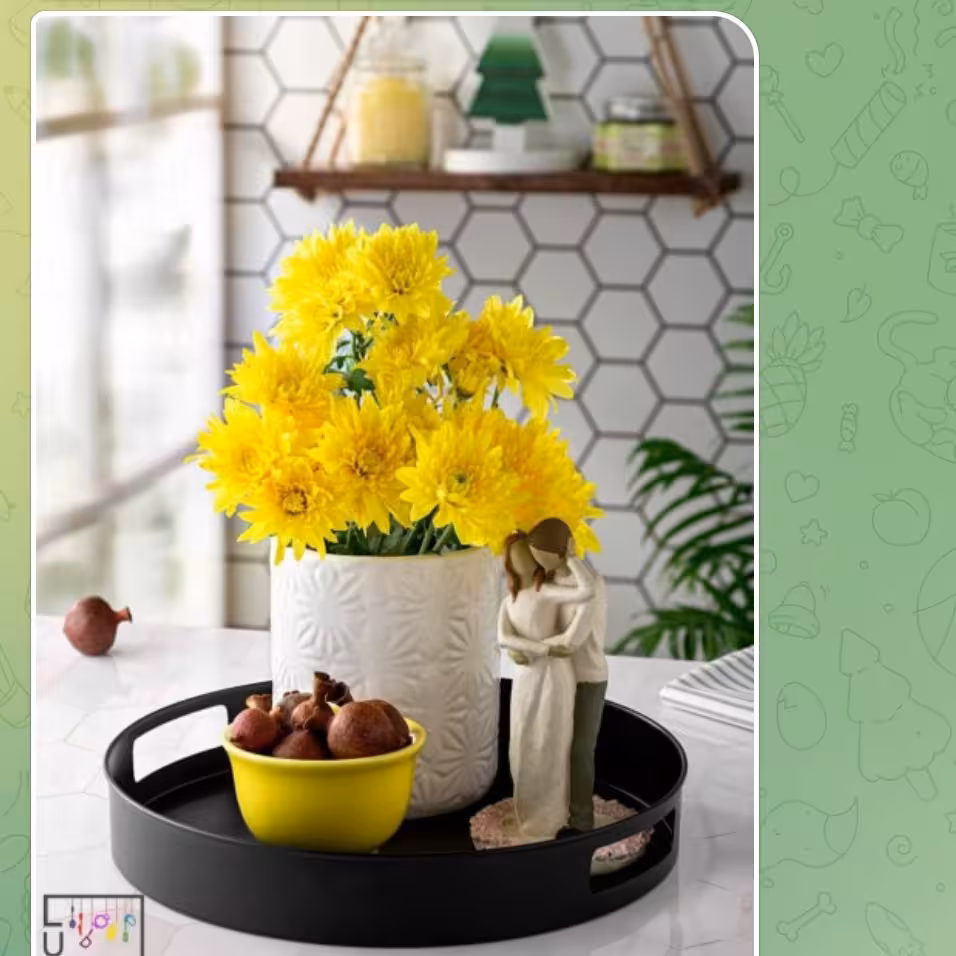 سینی سرو پلاس
کارتن یک عددی کد مختاری با ارسال رایگان 