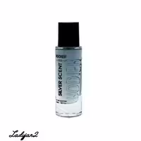 عطر جیبی مردانه رودیر اکو مدل سیلور سنت حجم 30 میلی لیتر