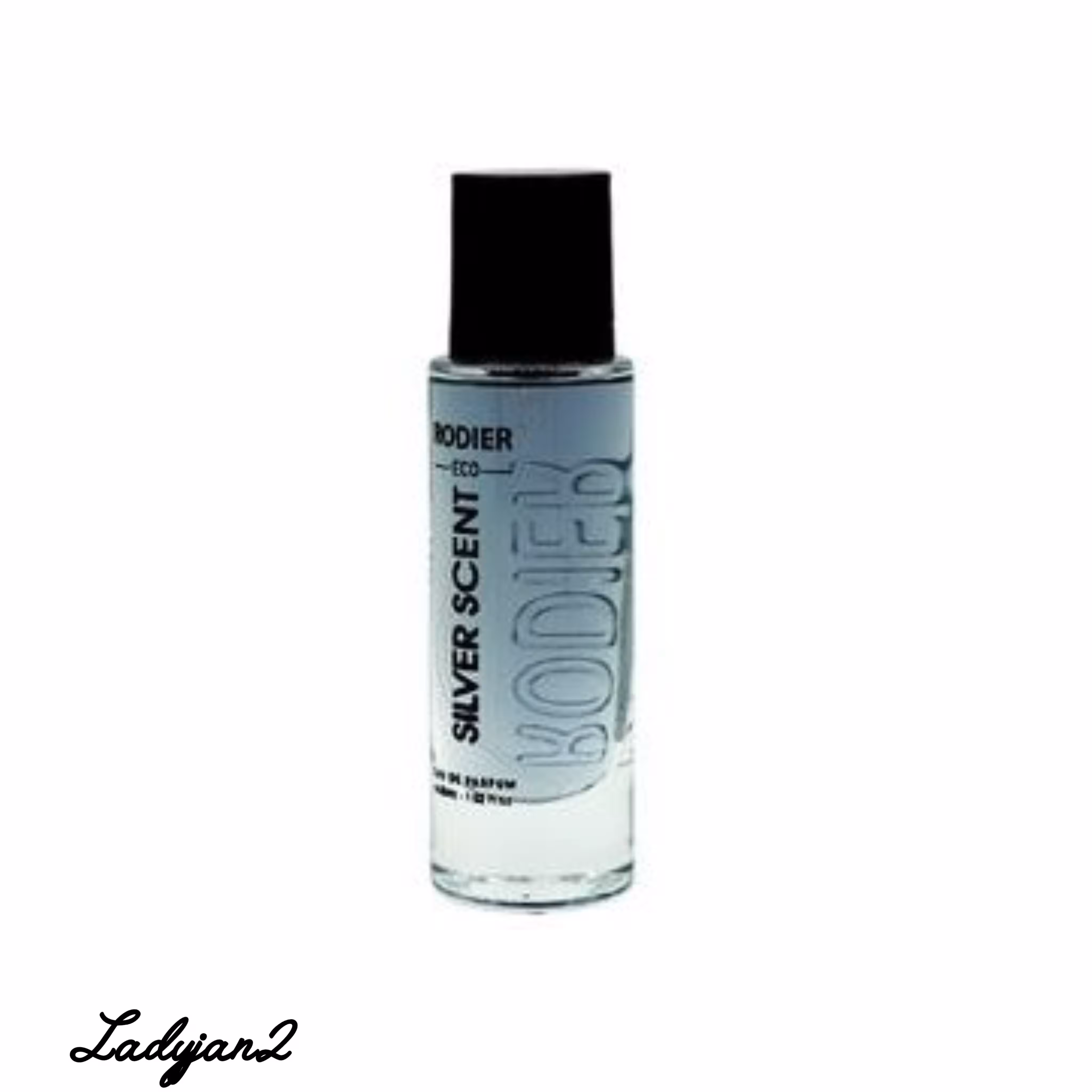 عطر جیبی مردانه رودیر اکو مدل سیلور سنت حجم 30 میلی لیتر