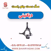 سگ دست جلو راست دیگنیتی