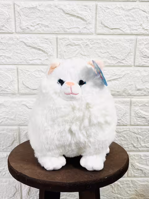 عروسک گربه خپل